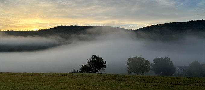 Blick vom gegenüberliegenden Hang in das Waldgebiet mit Nebelschwaden und bei Sonnenaufgang