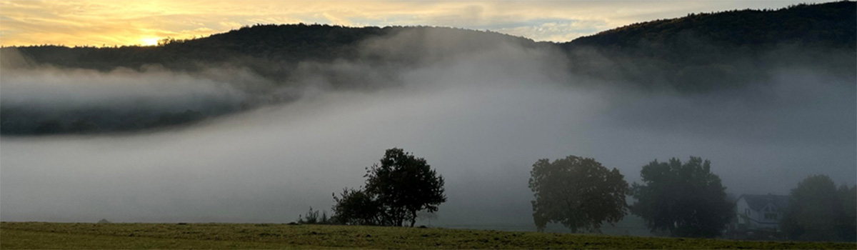 Blick vom gegenüberliegenden Hang in das Waldgebiet mit Nebelschwaden und bei Sonnenaufgang